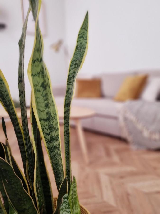 Cozy Apartment In The City Center Granada Exterior foto